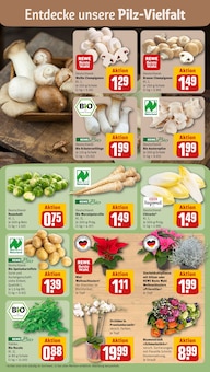 Kartoffeln im aktuellen REWE Prospekt (Dresden) Kartoffeln im REWE Prospekt "Dein Markt" mit 30 Seiten (Dresden)