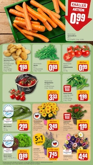 Tomaten im REWE Prospekt "Dein Markt" mit 30 Seiten (Nürnberg)