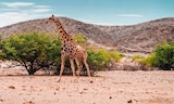 Namibia von  im aktuellen ALDI SÜD Prospekt für 2.499,00 €