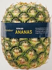 Ananas ohne Krone von Premieur im aktuellen Netto mit dem Scottie Prospekt