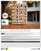Granulé Bois Angebote im Prospekt "PRÉPAREZ L’AUTOMNE : JARDIN - BRICOLAGE" von Carrefour auf Seite 2