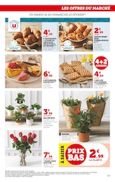 Offre Fleurs d'extérieur dans le catalogue Super U du moment à la page 37