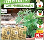 CANNABISSAMEN von gutmut saatgut im aktuellen Netto Marken-Discount Prospekt