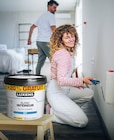 Peinture intérieure blanche à Weldom dans Avroult Peinture intérieure blanche à Weldom dans Avroult