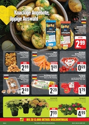 Ähnliche Angebote wie Streusalz im Prospekt "Wir lieben Lebensmittel!" auf Seite 6 von E center in Chemnitz