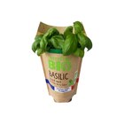 Basilic CARREFOUR BIO en promo chez Carrefour Market Basilic CARREFOUR BIO dans le catalogue Carrefour Market