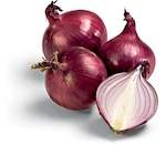 Zwiebeln rot bei Netto Marken-Discount im Bannewitz Prospekt für 1,29 €
