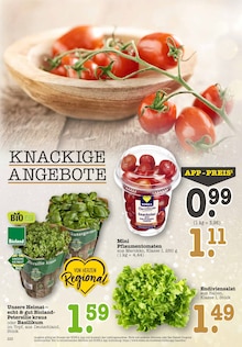 Tomaten im aktuellen E center Prospekt (Heidelberg) Tomaten im E center Prospekt "Aktuelle Angebote" mit 56 Seiten (Heidelberg)