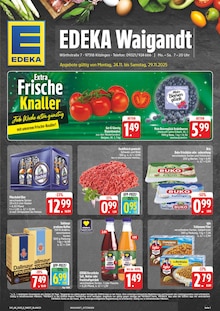 Aktueller EDEKA Prospekt "Wir lieben Lebensmittel!" Seite 1 von 28 Seiten für Kitzingen