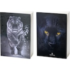 Agenda scolaire Animaux Sauvages - Carrefour Market à Béziers Agenda scolaire Animaux Sauvages en promo chez Carrefour Market Béziers à 3,99 €