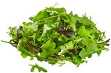 Aktuelles Bio Crispy Salatmix Angebot bei REWE in Wolfsburg ab 1,19 €