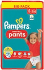 Baby Dry Windeln oder Pants im Big-Pack Angebote von Pampers bei Netto mit dem Scottie Eberswalde für 17,29 €