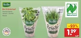 Bio Kräutertopf bei Netto Marken-Discount im Prospekt "" für 1,29 €