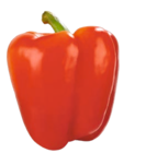 Paprika Rot von GUT & GÜNSTIG im aktuellen E xpress Prospekt für 1,79 €
