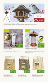 Gartendeko im Pflanzen Kölle Prospekt in Erlangen Aktueller Pflanzen Kölle Prospekt mit Gartendeko, "ADVENT ADVENT", Seite 13