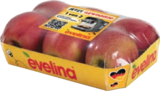 Aktuelle Äpfel Angebote bei tegut in Göttingen Aktuelles Äpfel Evelina Angebot bei tegut in Göttingen ab 1,99 €