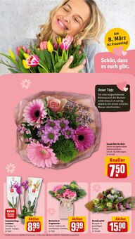 Hortensie im REWE Prospekt "Dein Markt" mit 20 Seiten (Halle (Saale))