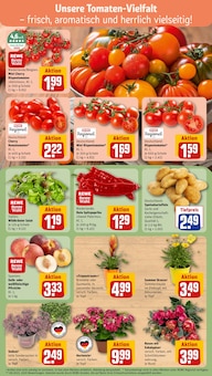 Tomaten im REWE Prospekt "Dein Markt" mit 33 Seiten (Duisburg)