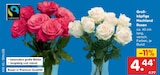 Rosen im aktuellen Netto Marken-Discount Prospekt