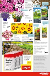 Pflanzerde Angebot im aktuellen Hellweg Prospekt auf Seite 23