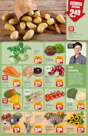 Pilze Angebot im REWE Prospekt, gültig von 07.07.2025 bis 12.07.2025 Pilze Angebot im aktuellen REWE Prospekt auf Seite 7
