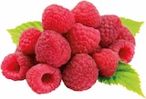 EDEKA Ascheberg - Himbeeren Angebot im Prospekt Himbeeren bei EDEKA im Ascheberg Prospekt für 1,99 €