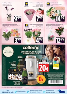 Hortensie im EDEKA Prospekt "Top Angebote" mit 29 Seiten (Rostock)