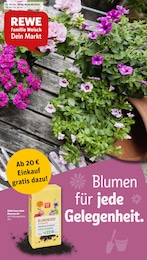 Der aktuelle REWE Prospekt Der aktuelle REWE Prospekt Dein Markt