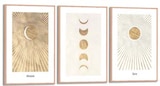 Bilder-Set, 3-tlg. für 29,90 € bei Trends im Angebot Bilder-Set, 3-tlg. im aktuellen Trends Prospekt