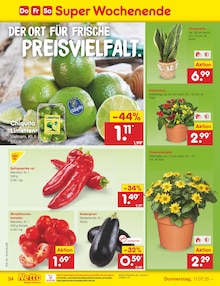 Blumentopf im Netto Marken-Discount Prospekt "Aktuelle Angebote" mit 67 Seiten (Mönchengladbach)