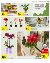 Jardinage Angebote im Prospekt "BONNE ANNÉE BONNE PROMO" von Carrefour auf Seite 57