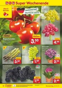 Blumen im Netto Marken-Discount Prospekt "Aktuelle Angebote" mit 62 Seiten (Regensburg)