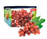 Tafeltrauben rot kernlos bei E center im Prospekt "" für 2,99 €