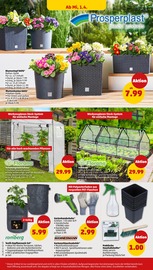 Garten im Penny Prospekt in Freiberg Aktueller Penny Prospekt mit Garten, "Wer günstig will, muss Penny.", Seite 36