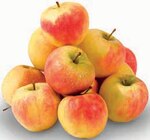 Aktuelles Tafeläpfel Elstar Angebot bei nah&frisch in Münster ab 1,29 €
