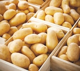 Netto Pont-l'Évêque - Promo Filet de pommes de terre de consommation Promo Filet de pommes de terre de consommation à 3,99 € dans le catalogue Netto à Pont-l'Évêque