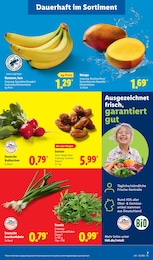 Lidl Mango im Prospekt 