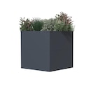 Pflanzkasten im POCO Prospekt Westmann Pflanzkasten Talus im aktuellen POCO Prospekt für 99,95 €