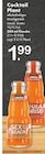 Sex on the Beach Angebote von Cocktail Plant bei TOP Getränke Neuss für 1,99 €