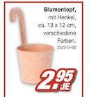 Aktuelles Blumentopf Angebot bei Möbel AS in Ludwigshafen (Rhein) ab 2,95 €