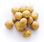 Supermarchés Match Haguenau - Promo Pomme de terre nouvelle récolte de Noirmoutier Promo Pomme de terre nouvelle récolte de Noirmoutier à 3,49 € dans le catalogue Supermarchés Match à Haguenau