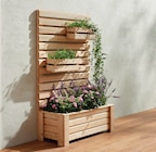 Blumenkasten 'Bali' Lärche Angebote bei Holz Braun Reutlingen für 19,95 €