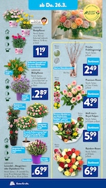 Aktueller ALDI SÜD Prospekt mit Tulpen, "Gutes für Alle.", Seite 29