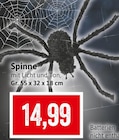 Spinne bei Kaufhaus Stolz im Kühlungsborn Prospekt für 14,99 €