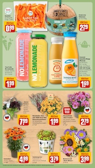 Pflanzen im REWE Prospekt "Dein Markt" mit 32 Seiten (Bochum)
