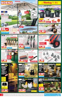 Blumentopf im Norma Prospekt "Mehr fürs Geld" mit 19 Seiten (Saarbrücken)