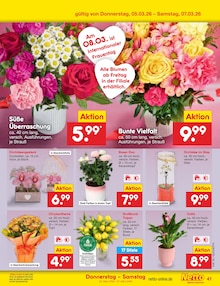 Blumen im Netto Marken-Discount Prospekt "Aktuelle Angebote" mit 60 Seiten (Magdeburg)