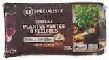 Terreau plantes vertes & fleuries - U Specialiste en promo chez Super U Brest à 3,99 €