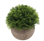 Promo Plante artificielle pot effet béton à 2,93 € dans le catalogue B&M ""