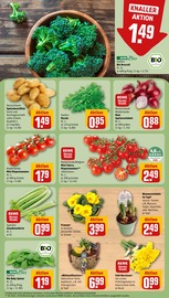 Ähnliche Gartenbank Angebote im Prospekt "Dein Markt" von REWE in Brandenburg Ähnliche Angebote wie Gartenbank im Prospekt "Dein Markt" auf Seite 7 von REWE in Brandenburg